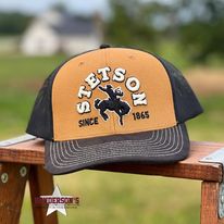 Stetson Ball Cap ~ Brown