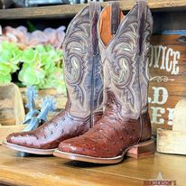 Kylo Ostrich by Dan Post ~ Chocolate - Henderson's Western Store