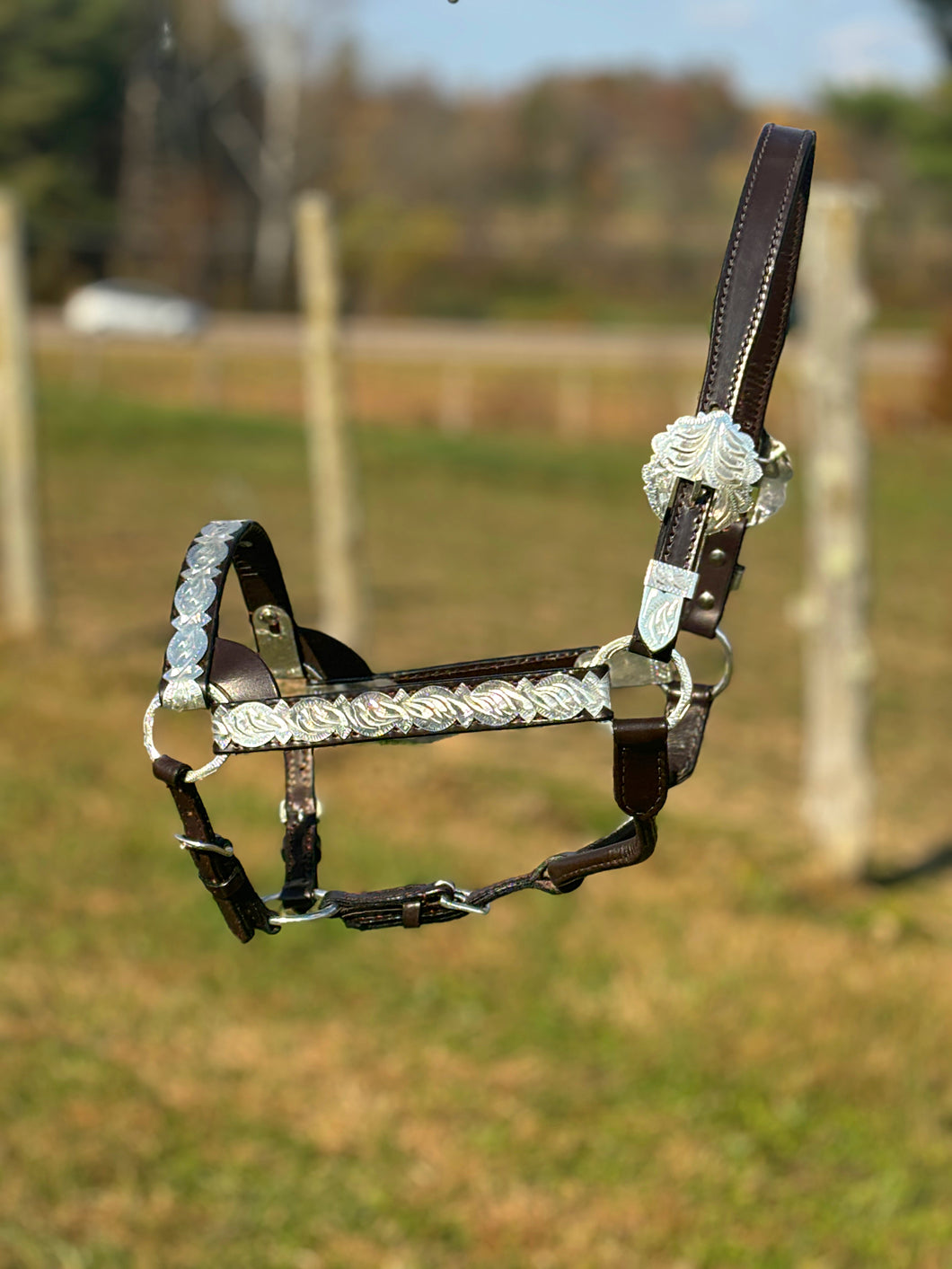 Dark Leather Show Halter ~ Horse