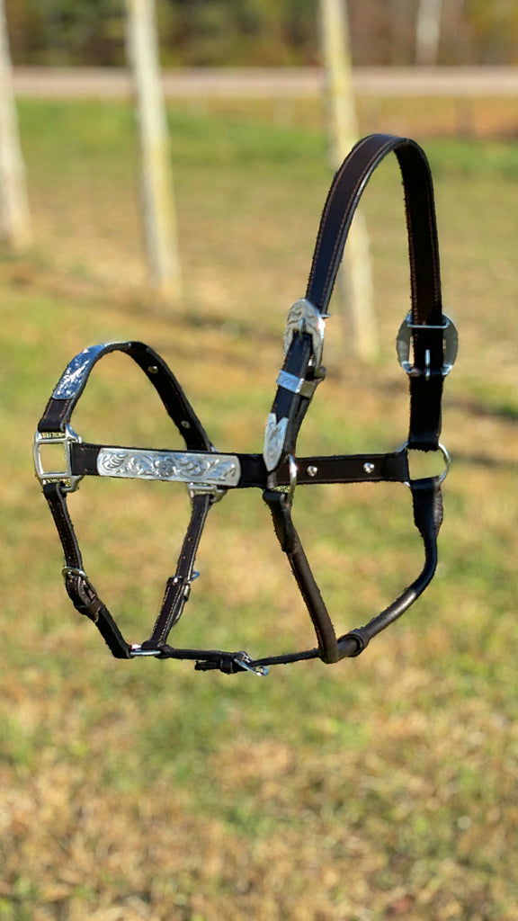 Show Halter