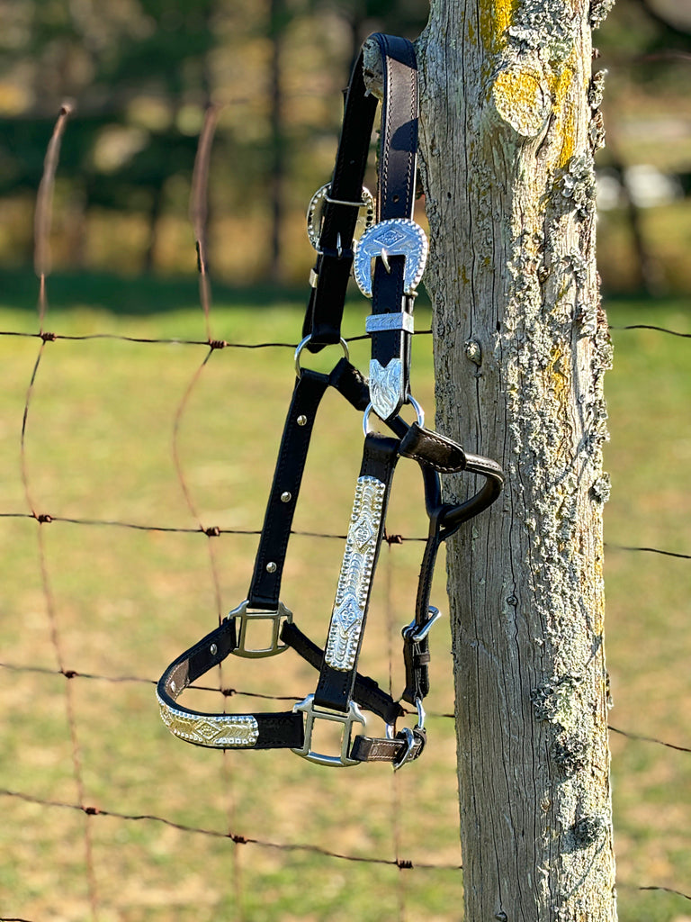 Engraved Show Halter