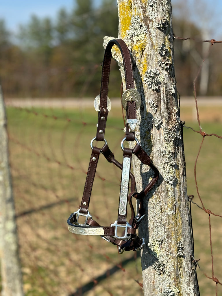 Show Halter ~ Yearling