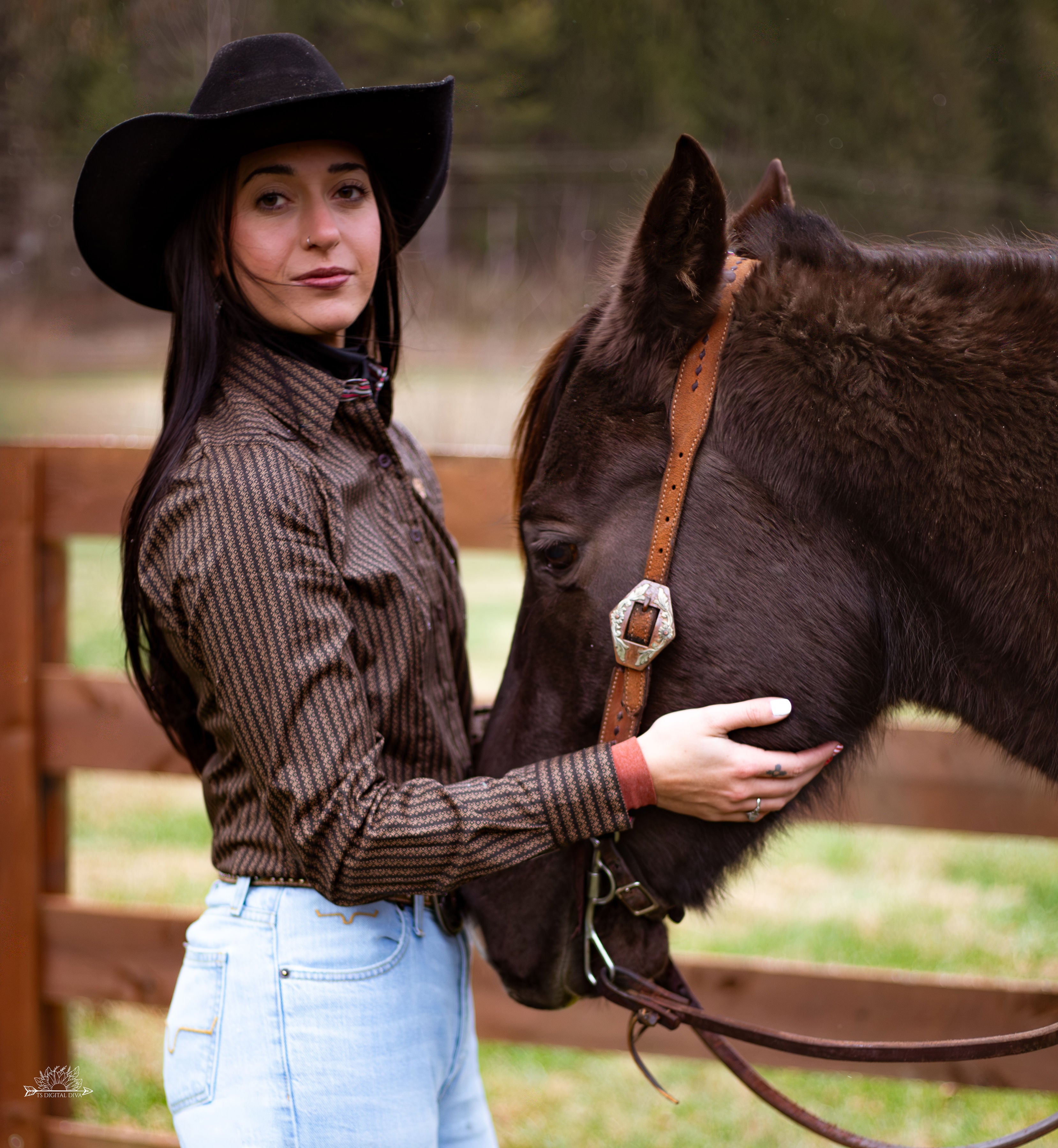 Ladies Cinch ~ Brown - Henderson's Western Store