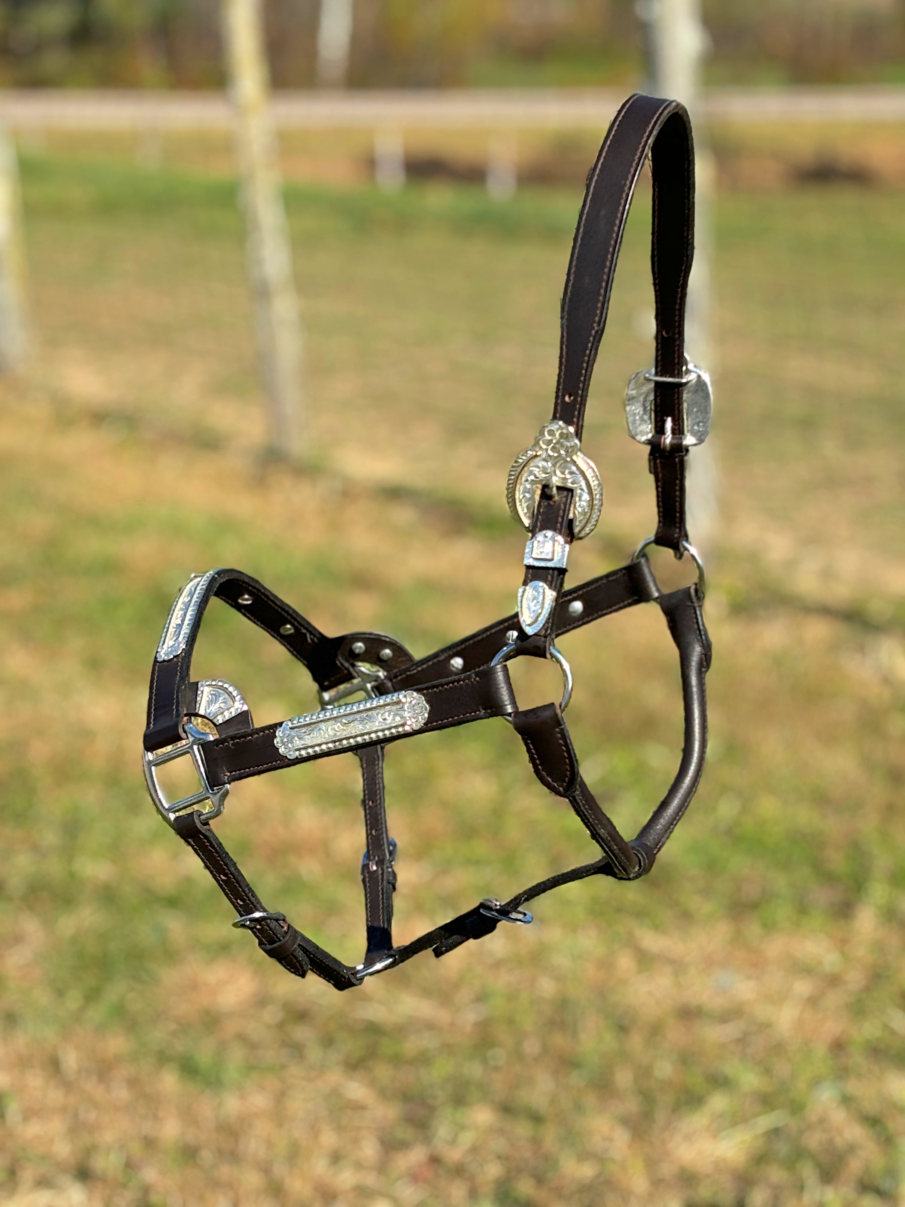 Dark Leather Show Halter ~ Floral Engraved - Henderson's Western Store