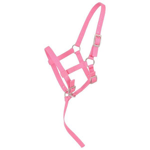 Load image into Gallery viewer, Tough1 Adjustable Foal Halter