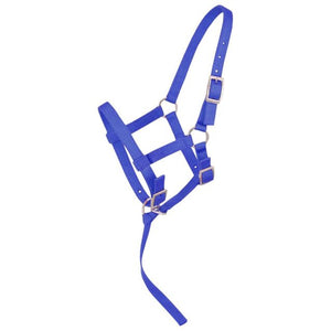 Load image into Gallery viewer, Tough1 Adjustable Foal Halter