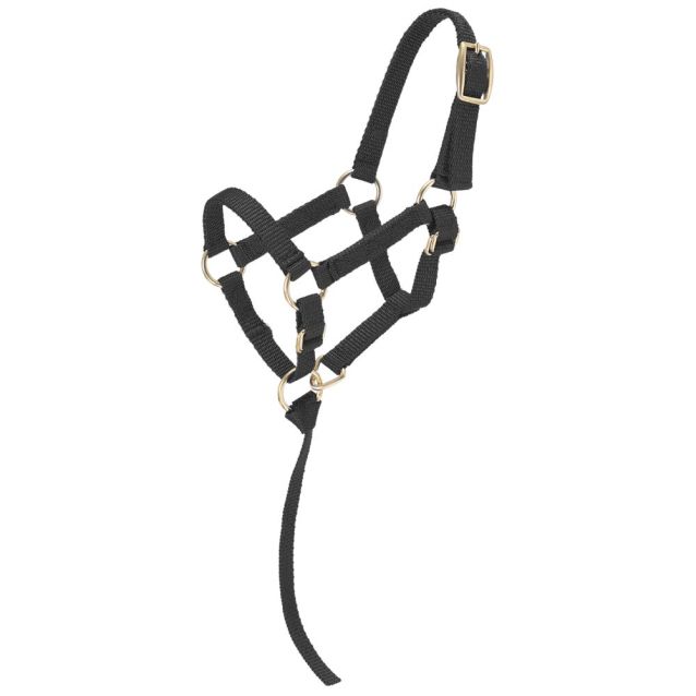 Tough 1 Mini Nylon Halter ~ Small - Henderson's Western Store