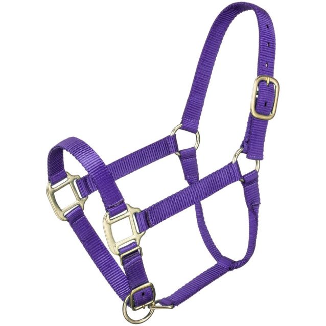 Premium Poly Halter ~ Pony - Henderson's Western Store