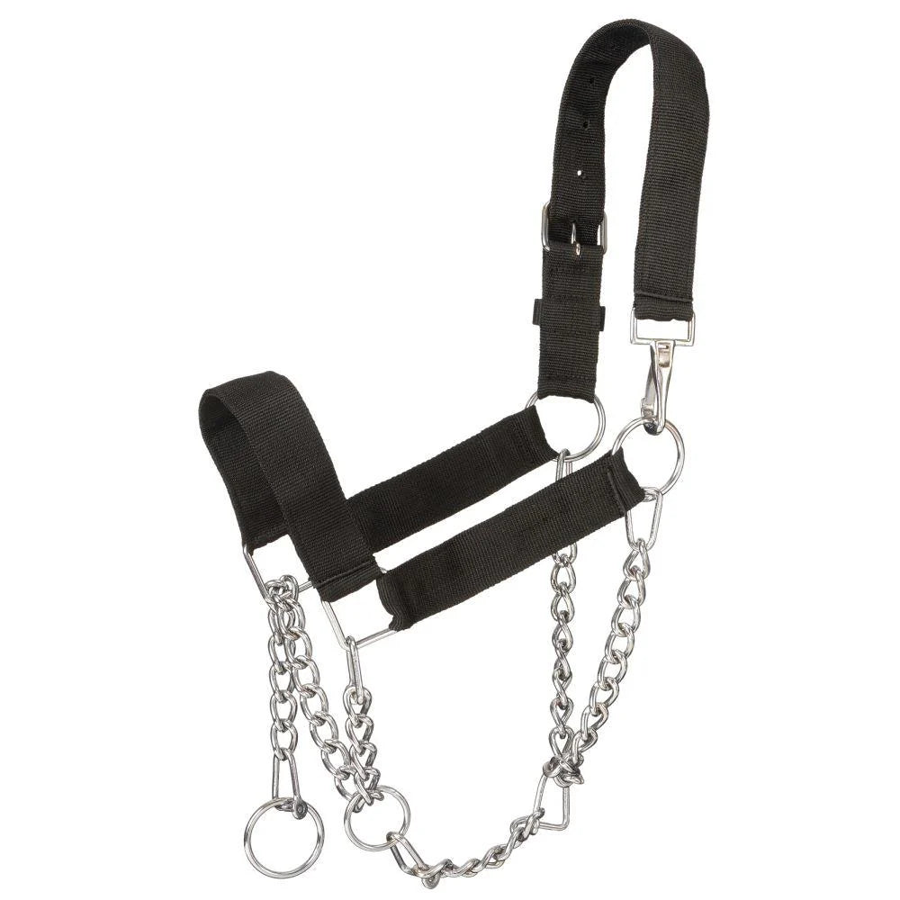 Nylon Mule Halter with Draw Chain