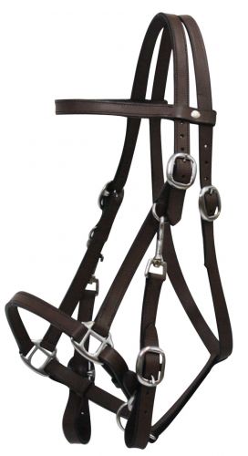 Leather Halter Bridle Combination