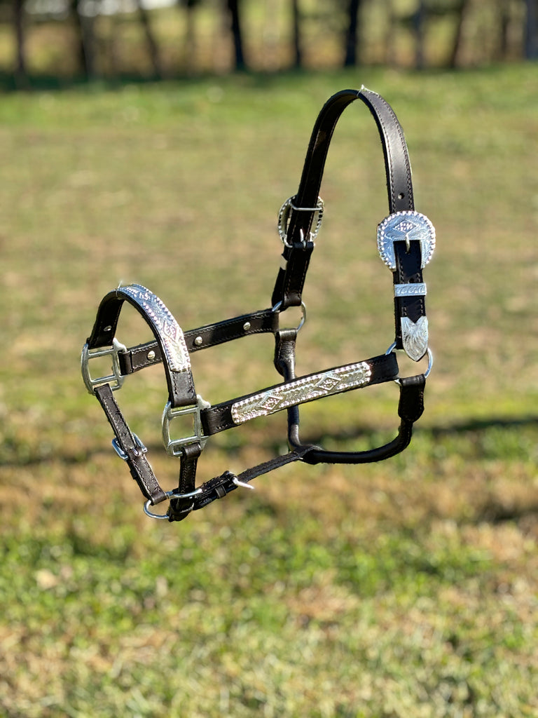 Engraved Show Halter