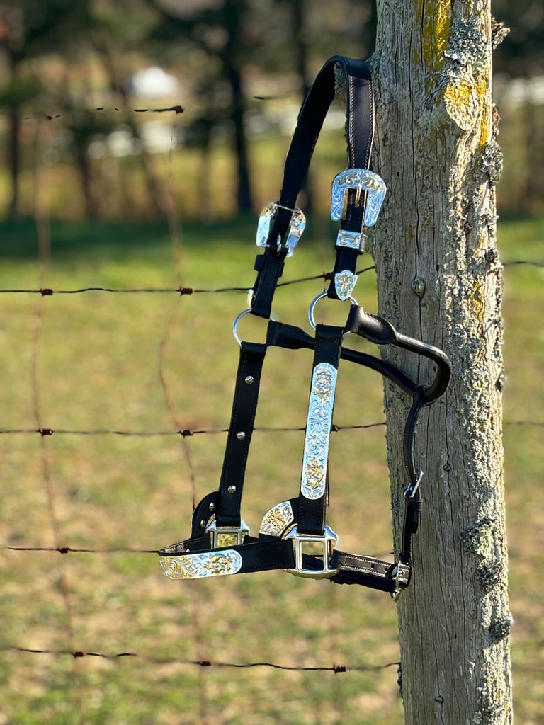 Dark Leather Show Halter ~ Gold Accents