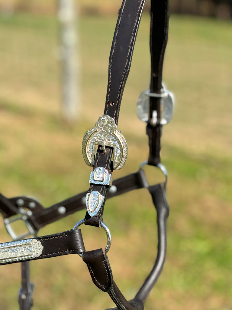 Dark Leather Show Halter ~ Floral Engraved