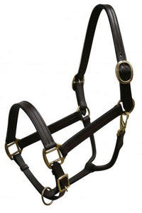 Load image into Gallery viewer, Leather Halter ~ Horse