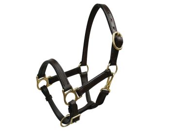 Leather Halter ~ Mini - Henderson's Western Store