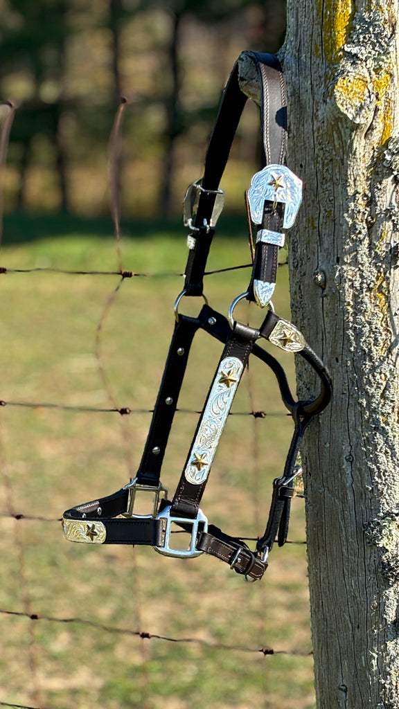 Show Halter W/Gold Stars ~ Full Size Horse