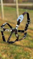 Show Halter ~ Gold Diamond ~ Mini - Henderson's Western Store
