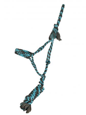 Braided Mule Tape Halter ~ Blue - Henderson's Western Store