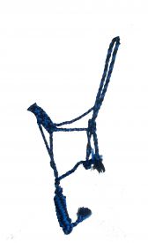 Mule Tape Halter~Royal/Black - Henderson's Western Store