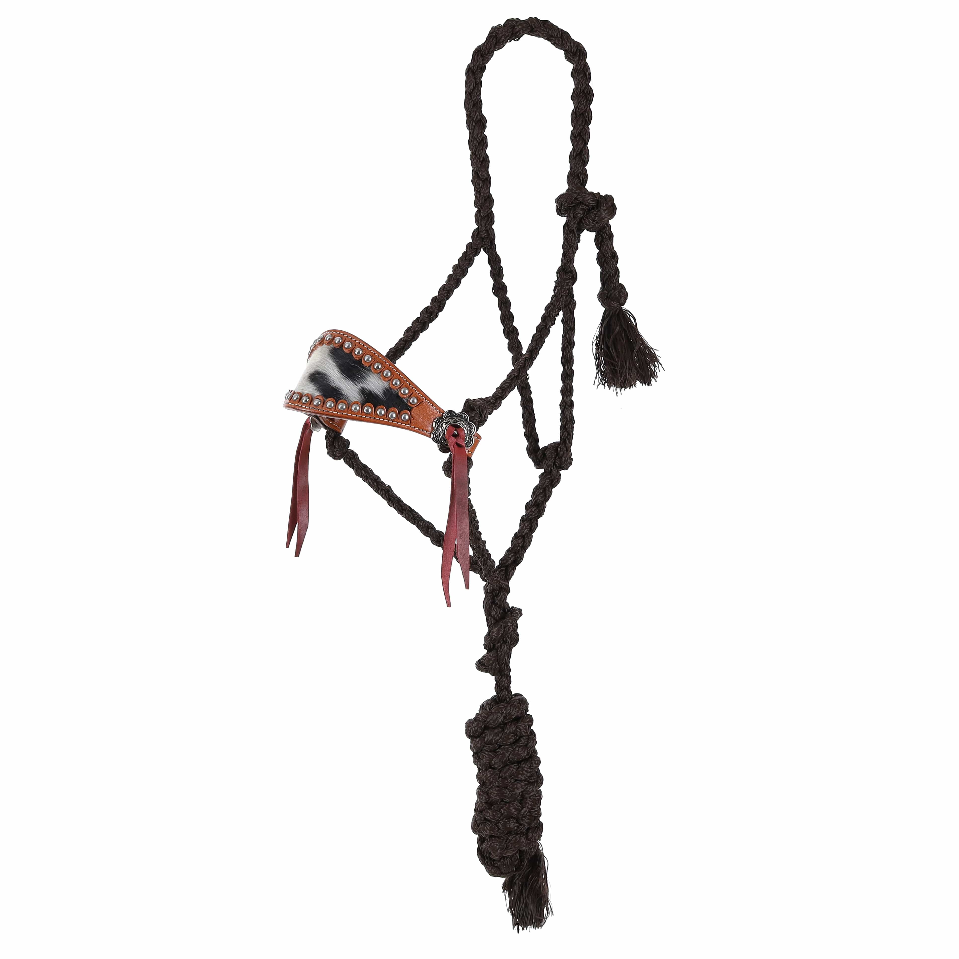 shiloh halters