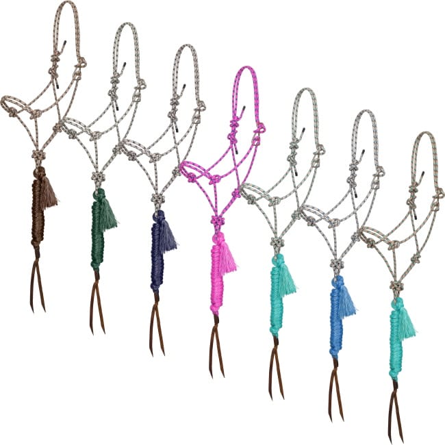 Shiloh halters