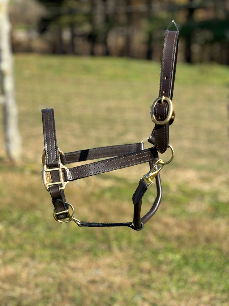 Leather Halter ~ Horse