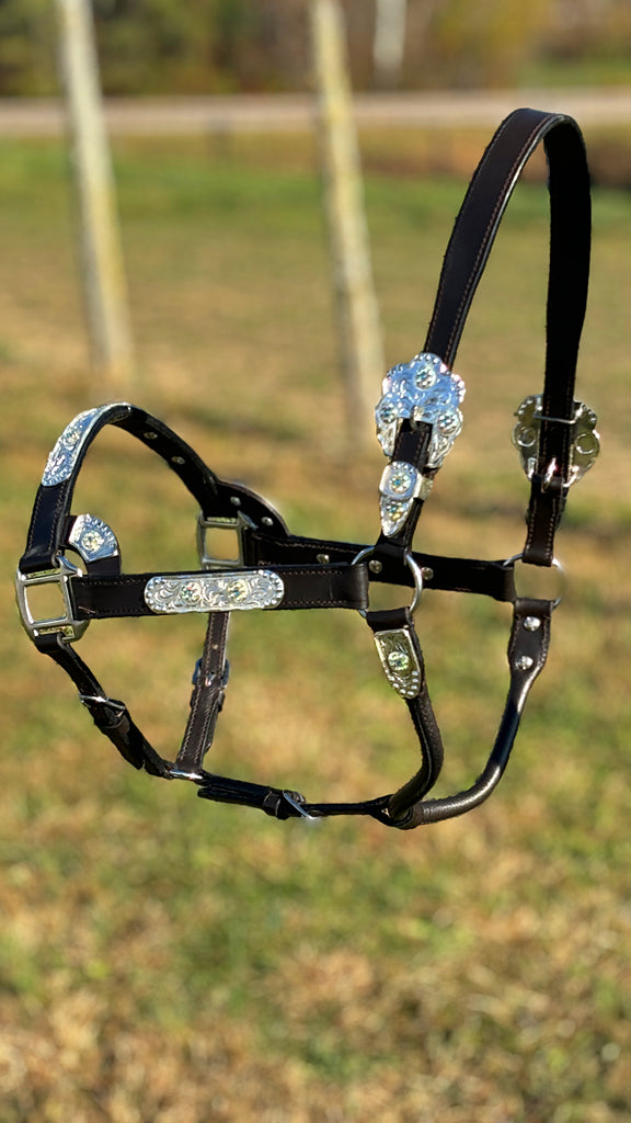 Engraved Silver Show Halter ~ Horse ~ Iridescent Stones