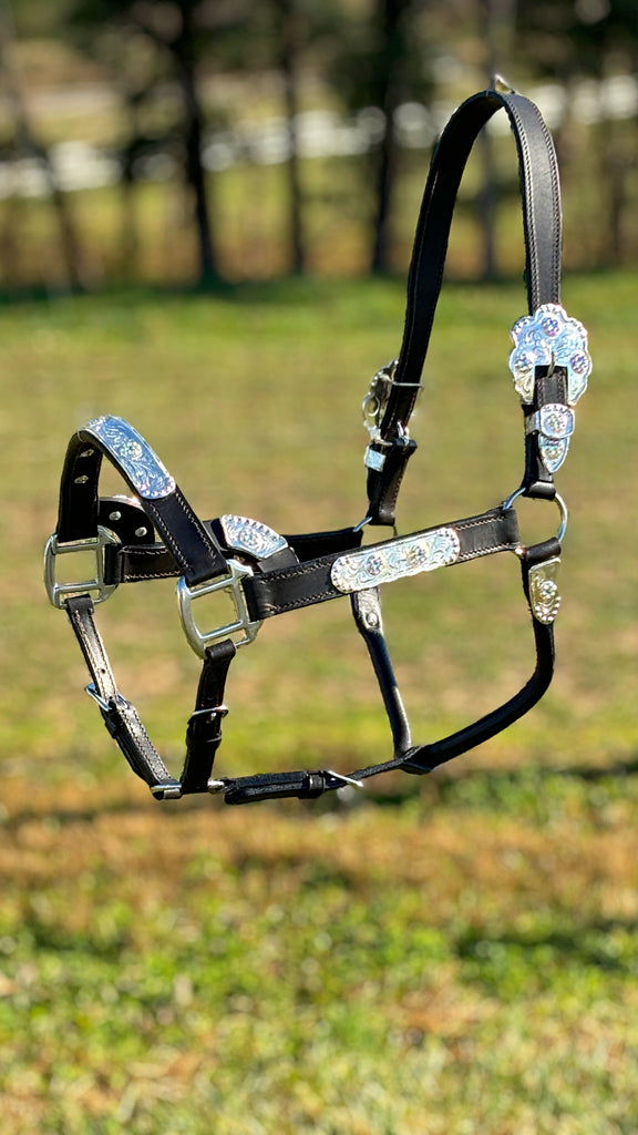 Engraved Silver Show Halter ~ Horse ~ Iridescent Stones