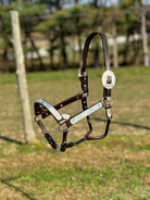 Royal King Show Halter ~ Silver Scroll - Henderson's Western Store