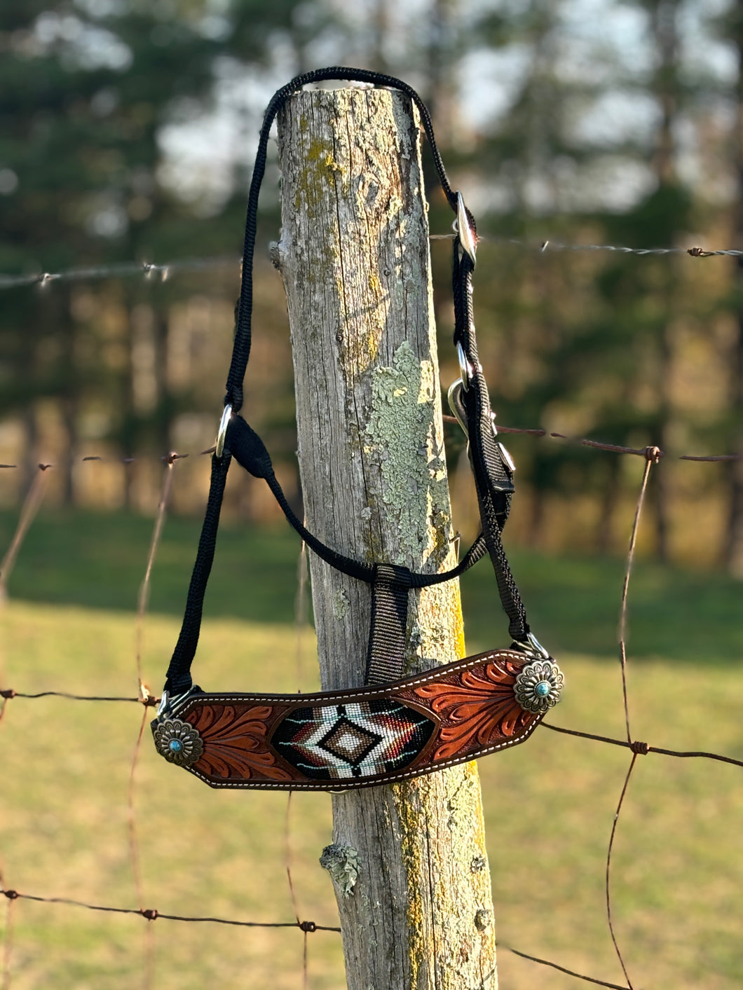 Nylon Bronc Halter ~ Southwest Bead