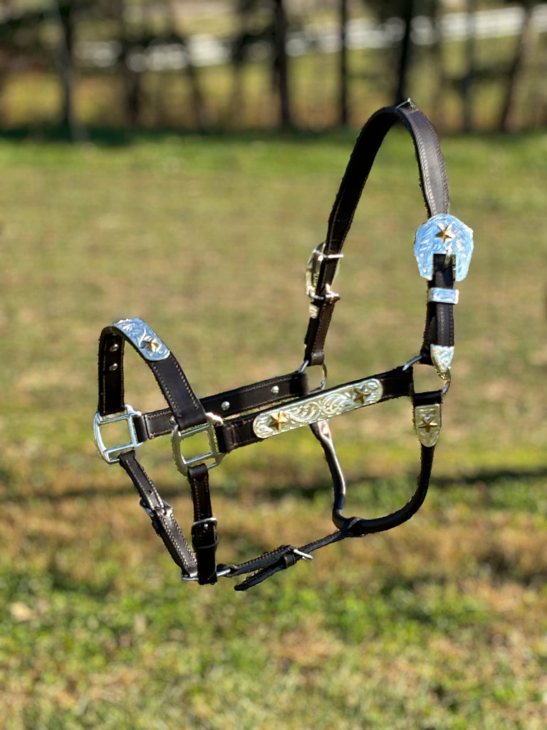 Show Halter W/Gold Stars ~ Full Size Horse