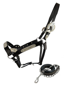 Load image into Gallery viewer, Dark Leather Show Halter ~ Floral Engraved - Henderson&#39;s Western Store