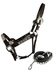 Load image into Gallery viewer, Dark Leather Show Halter ~ Silver Bar