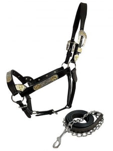 Load image into Gallery viewer, Dark Leather Show Halter ~ Gold Accents - Henderson&#39;s Western Store