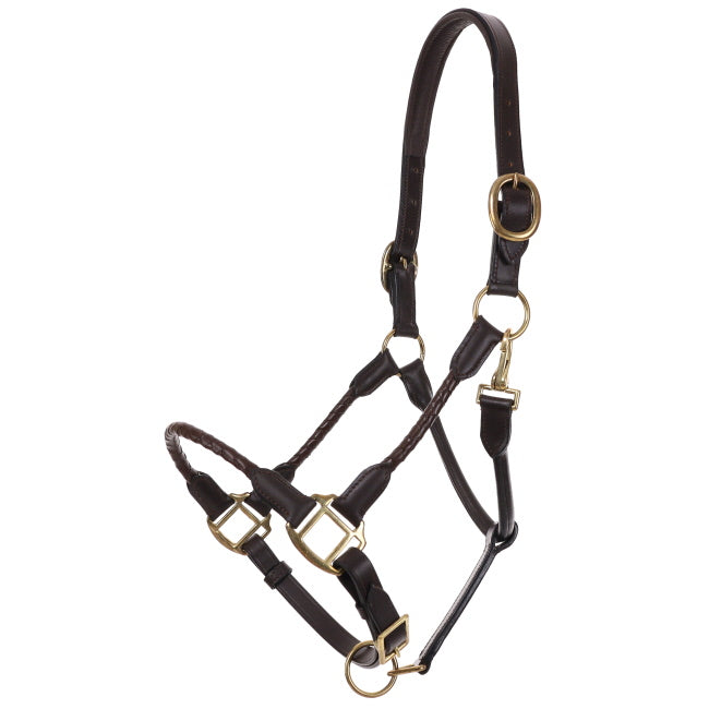 Leather Halter with Braided Nose and Cheeks