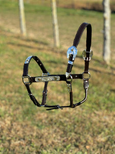 Load image into Gallery viewer, Show Halter W/Gold Stars ~ Full Size Horse