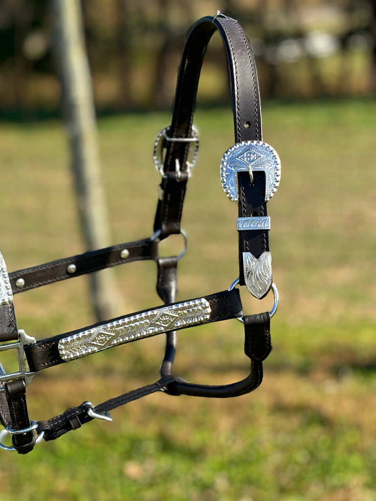 Engraved Show Halter