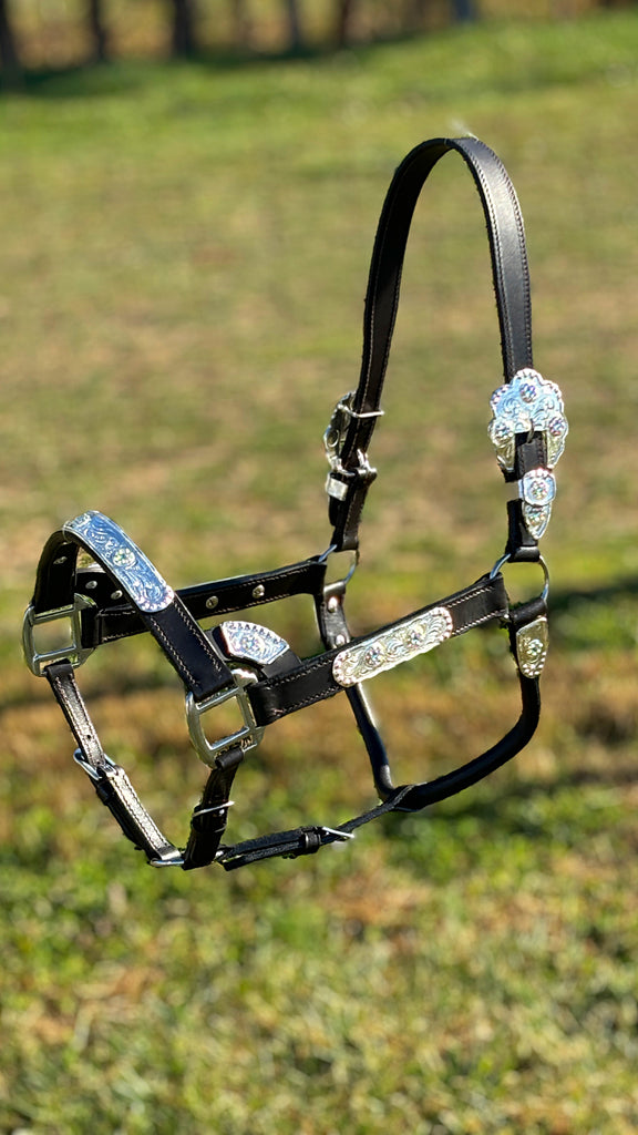 Engraved Silver Show Halter ~ Horse ~ Iridescent Stones