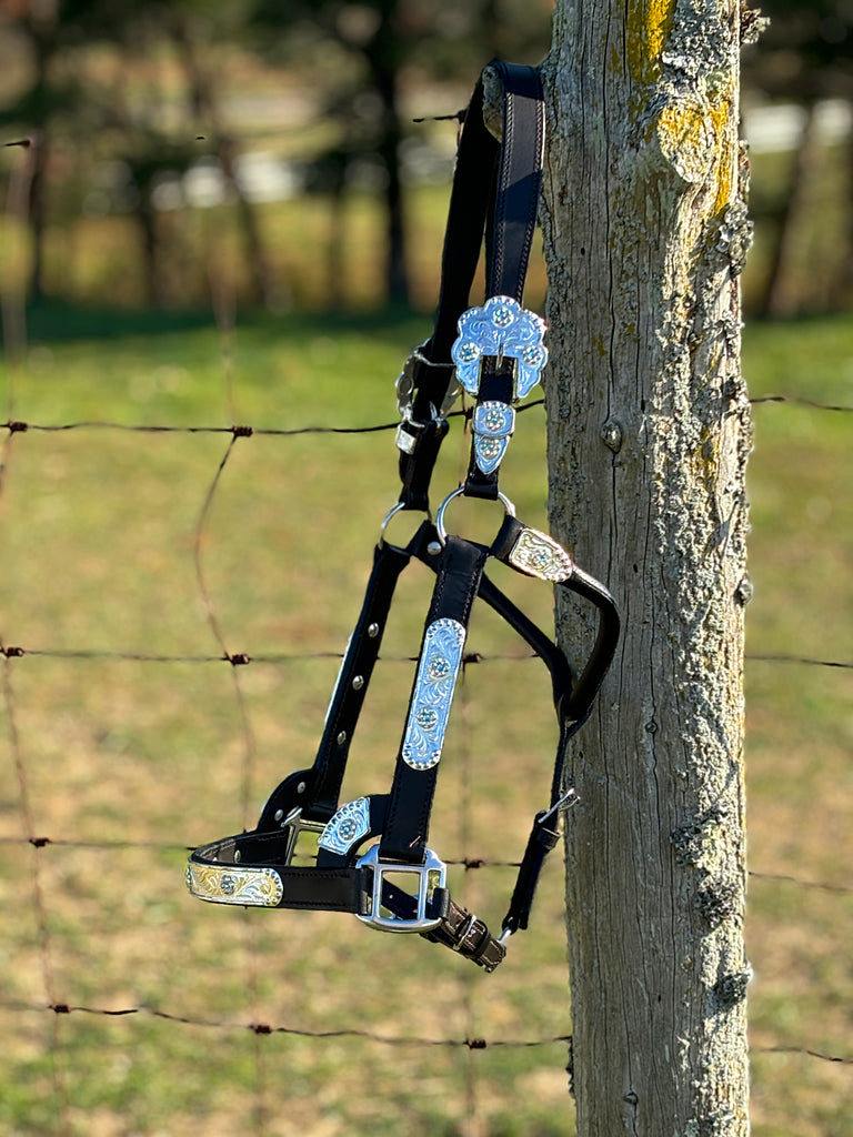 Engraved Silver Show Halter ~ Horse ~ Iridescent Stones