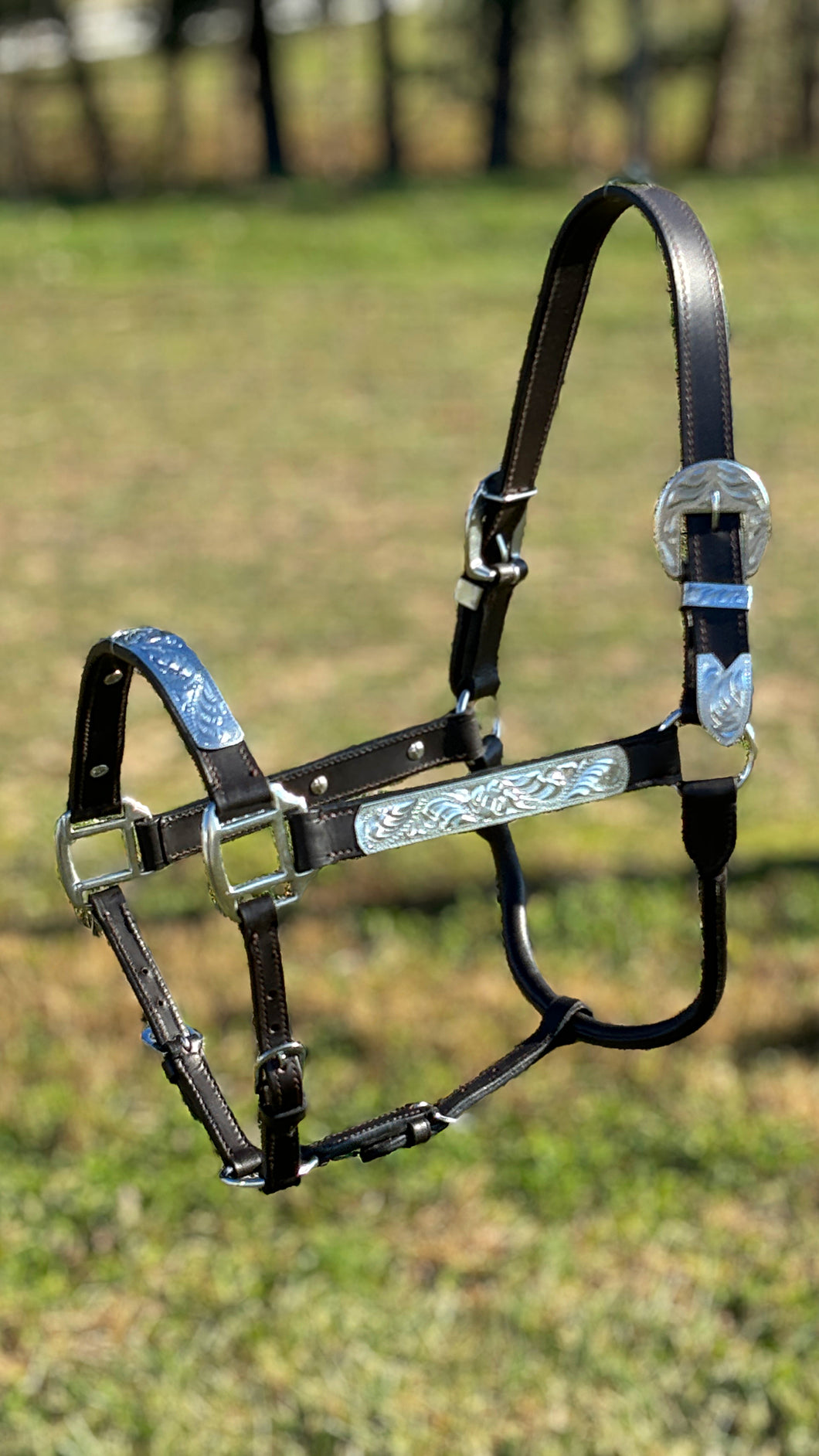 Show Halter