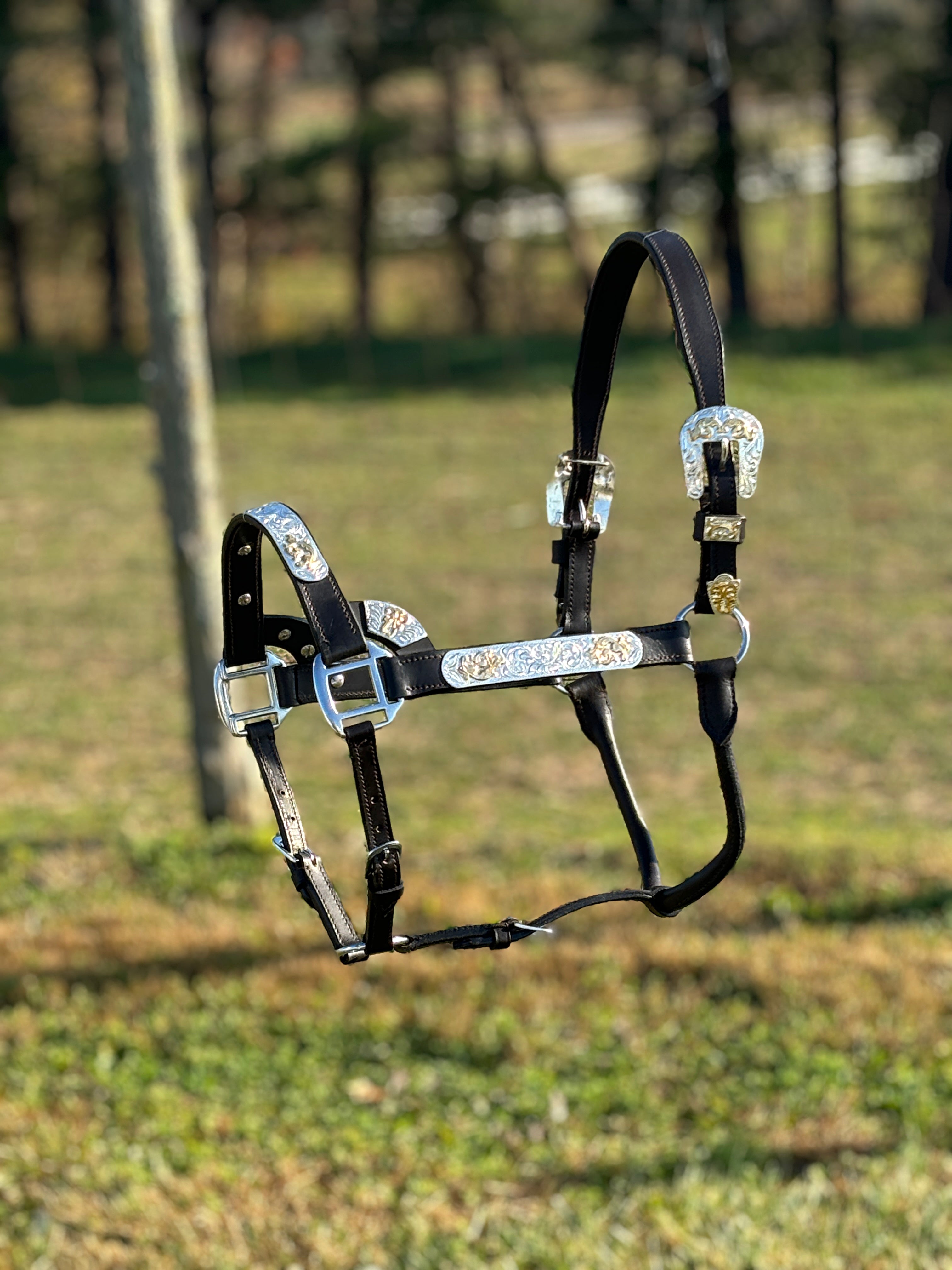 Dark Leather Show Halter ~ Gold Accents - Henderson's Western Store