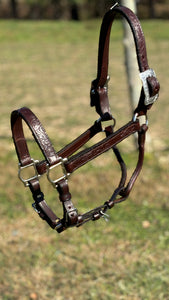 Load image into Gallery viewer, Ranch Show Halter W/Lead