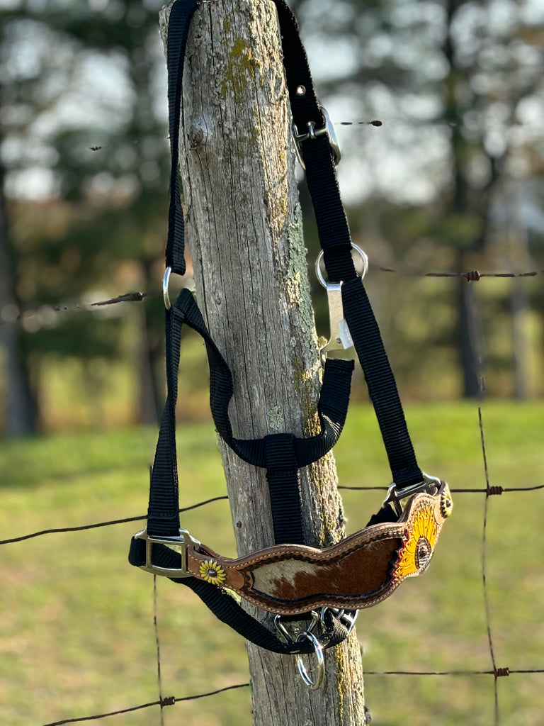 Nylon Bronc Halter ~ Painted Sunflower