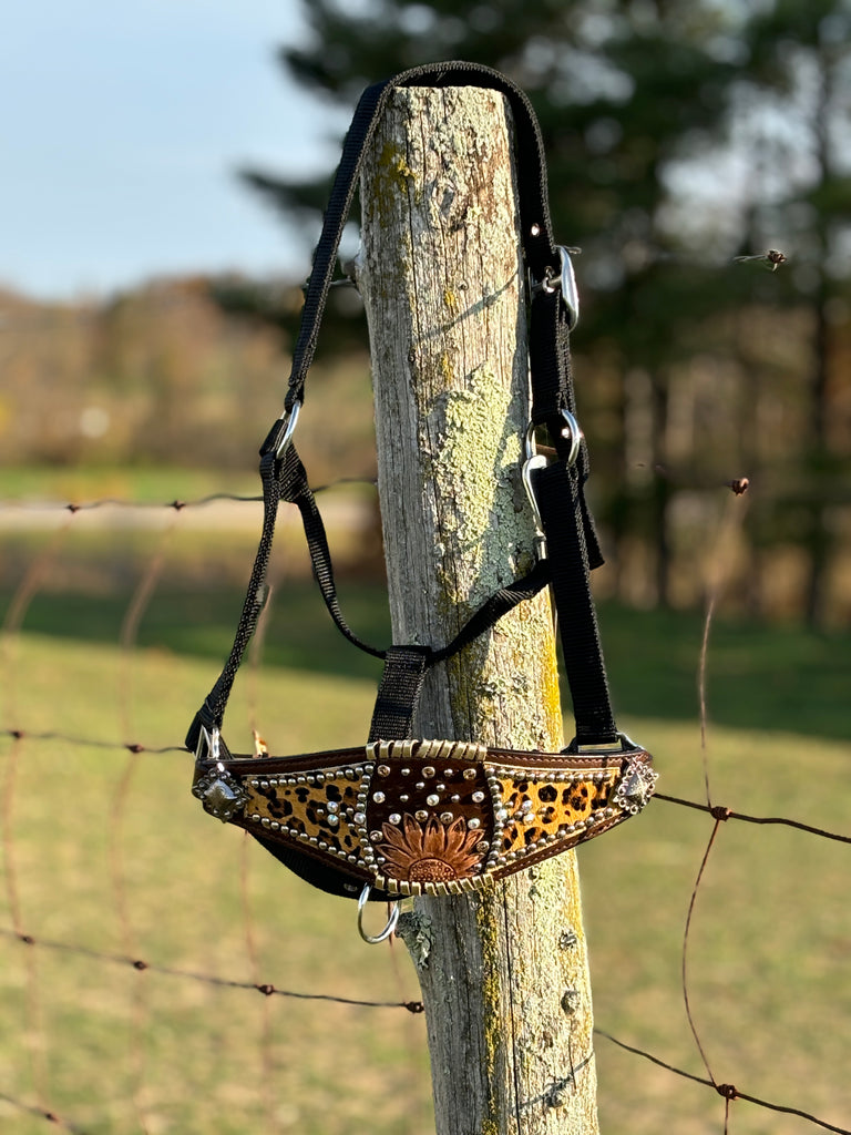 Nylon Bronc Halter ~ Cheetah & Sunflower