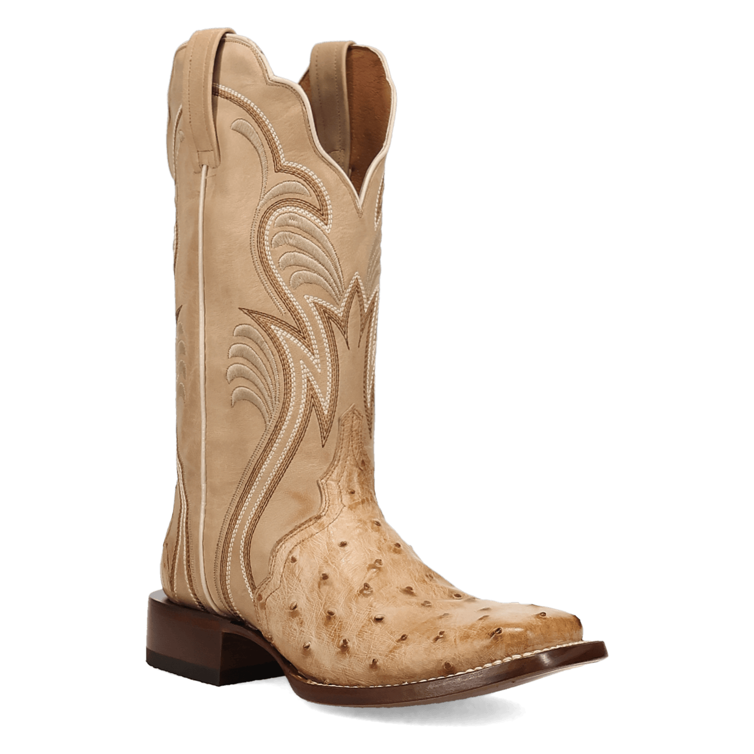 Dan Post Women's Boots