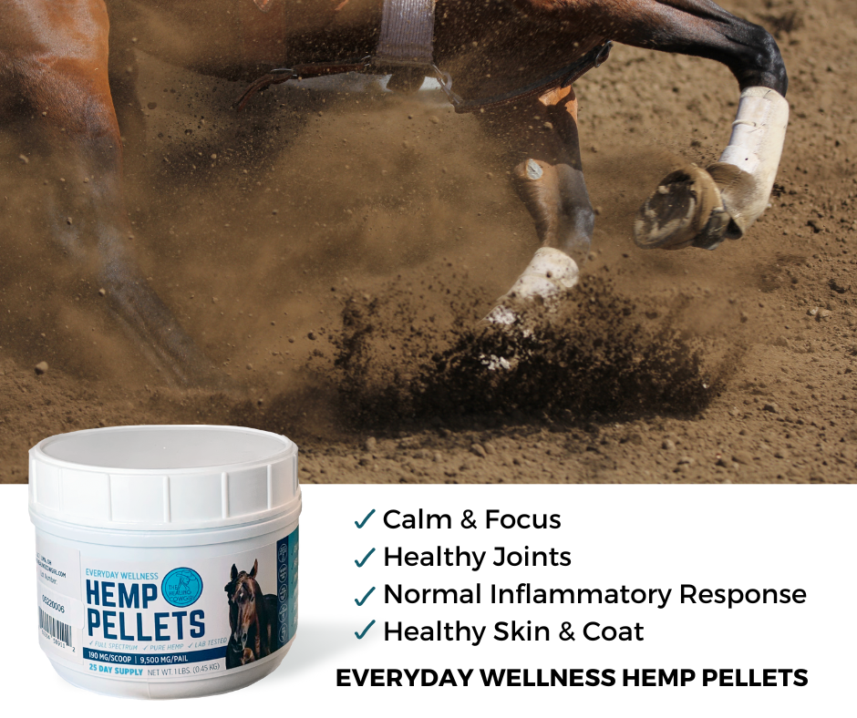 Healing Cowgirl ~ Hemp Pellets