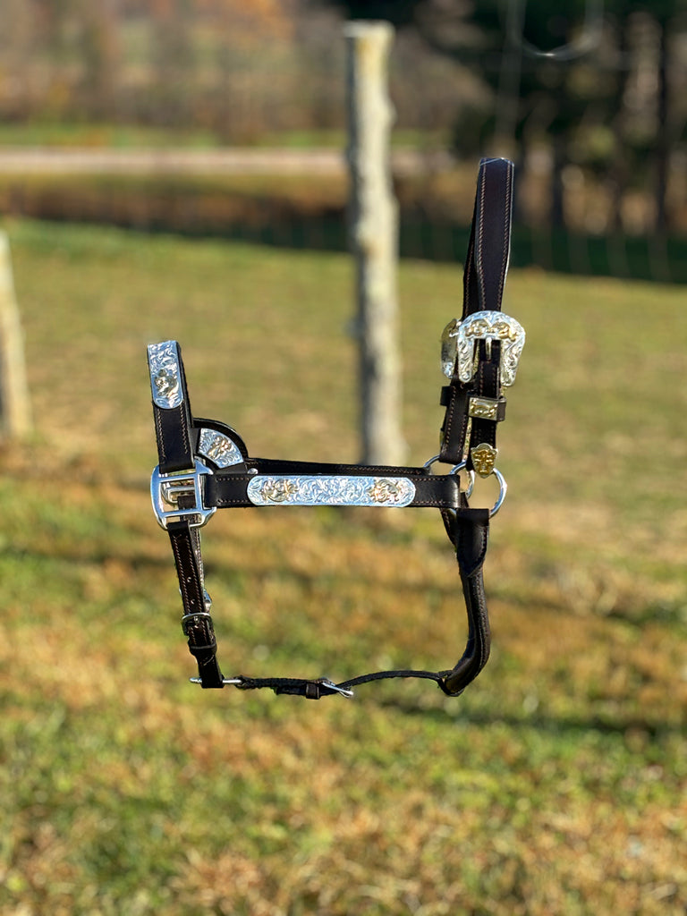 Dark Leather Show Halter ~ Gold Accents