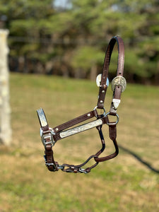 Load image into Gallery viewer, Show Halter ~ Yearling