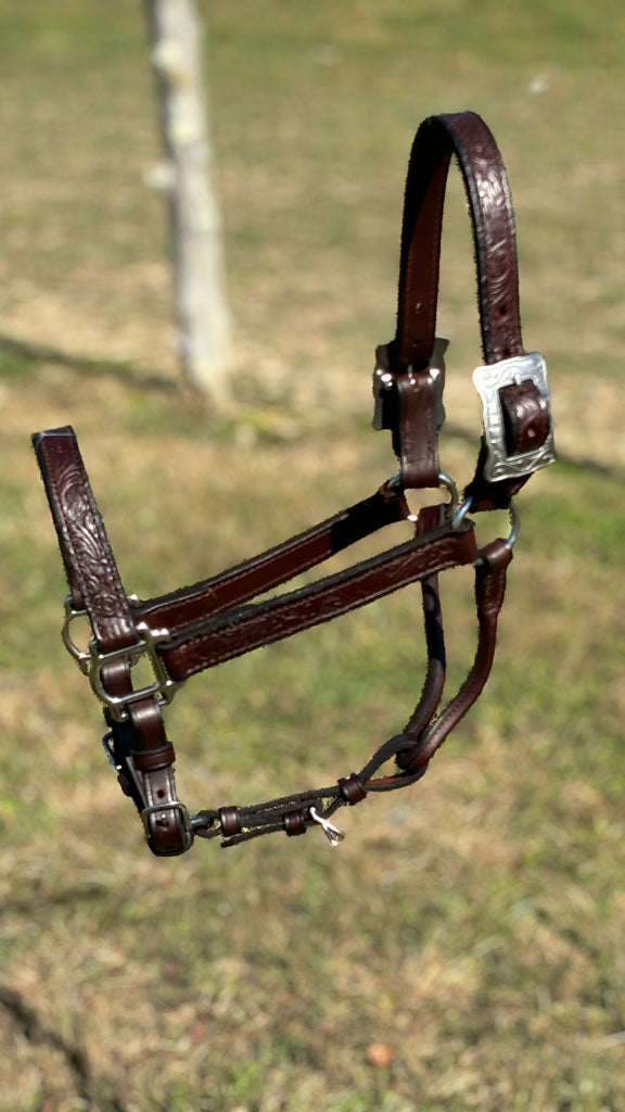 Ranch Show Halter W/Lead