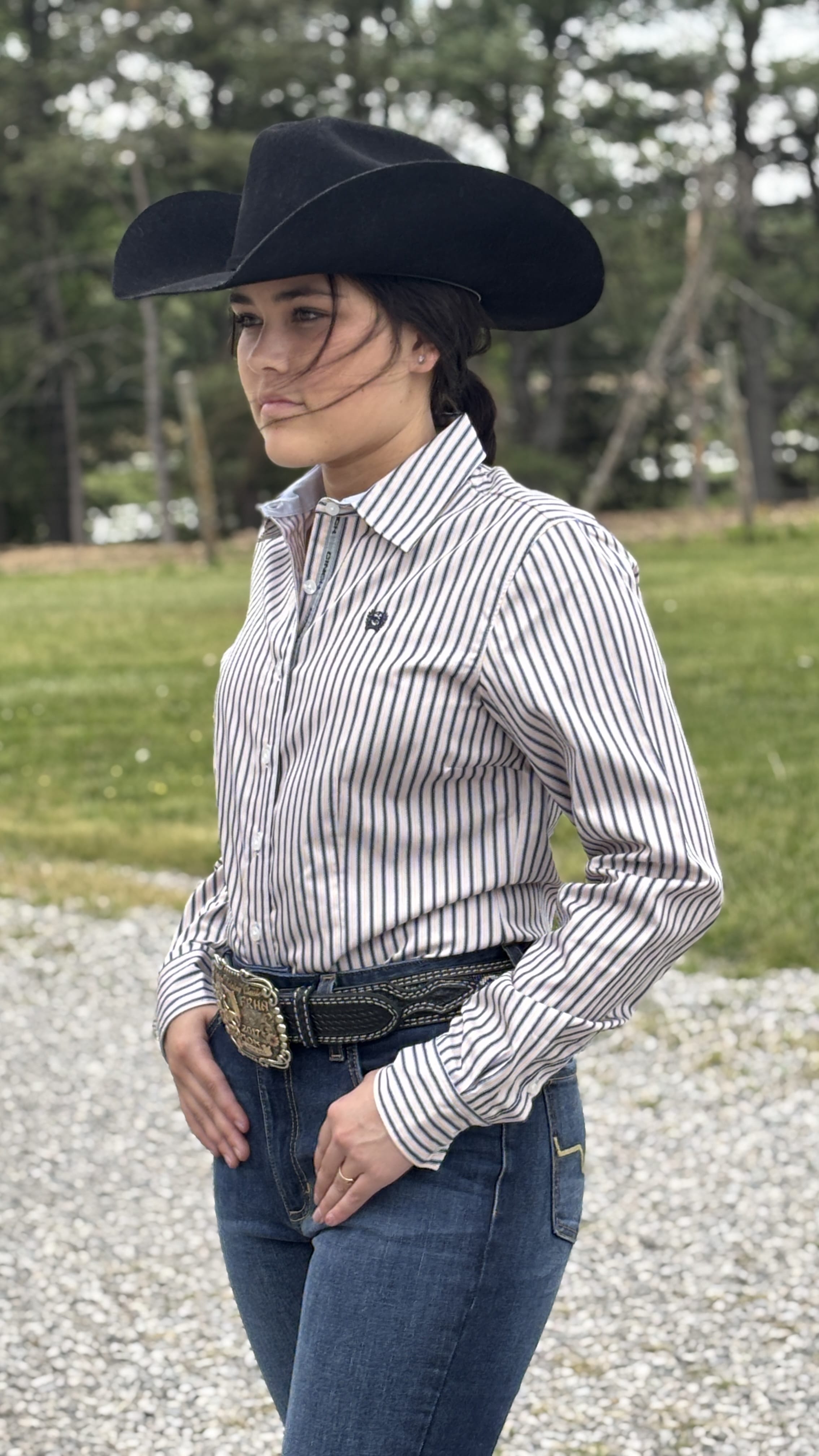 Ladies Cinch Stripe - Henderson's Western Store